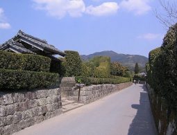 The historic street of the Chiran Samurai Residences, lined with low stone walls and manicured boxwood hedges.