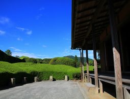 featuring a small pond