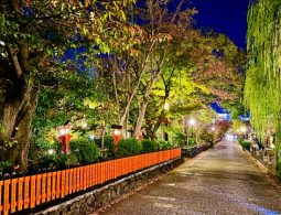 Evening view of the stone-paved path along Shirakawa River, illuminated by lanterns with autumn foliage and weeping willows.
