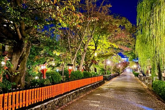 Evening view of the stone-paved path along Shirakawa River, illuminated by lanterns with autumn foliage and weeping willows.