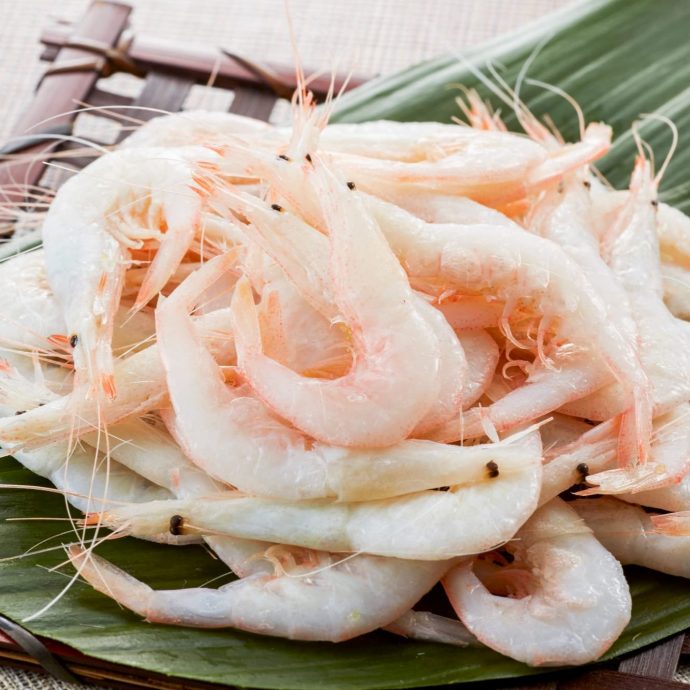 Shiro ebi (white shrimp) sashimi on a leaf.