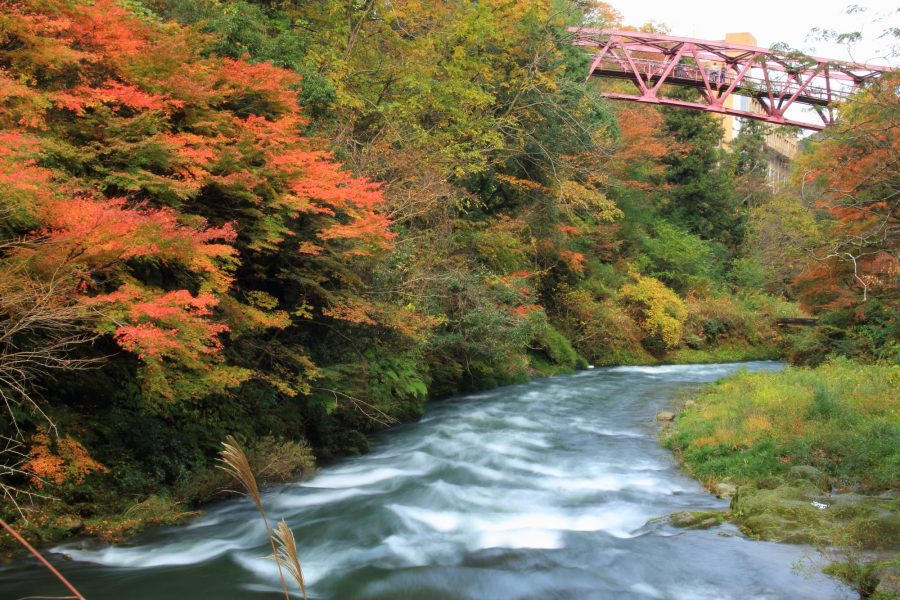 River flowing through Yamanaka Onsen with autumn leaves.
