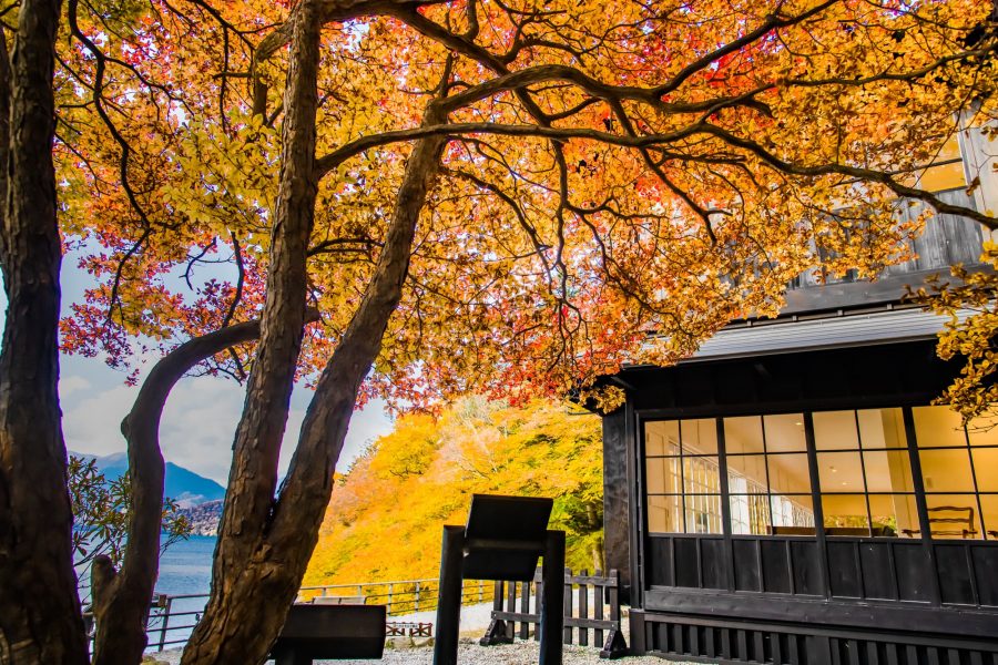 Japanese building with autumn foliage at Nikko.