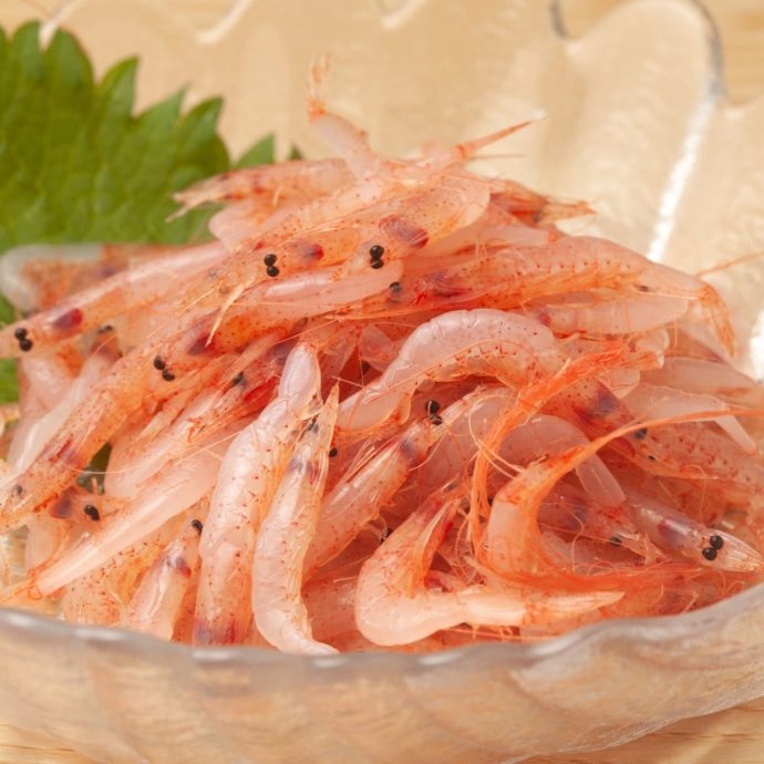 A glass bowl of fresh sakura ebi (cherry shrimp).