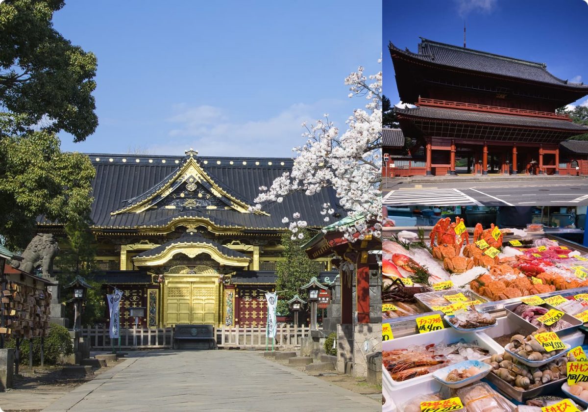 Collage representing the Tokyo area: an ornate golden shrine gate, a red temple structure, and the bustling Tsukiji Market.