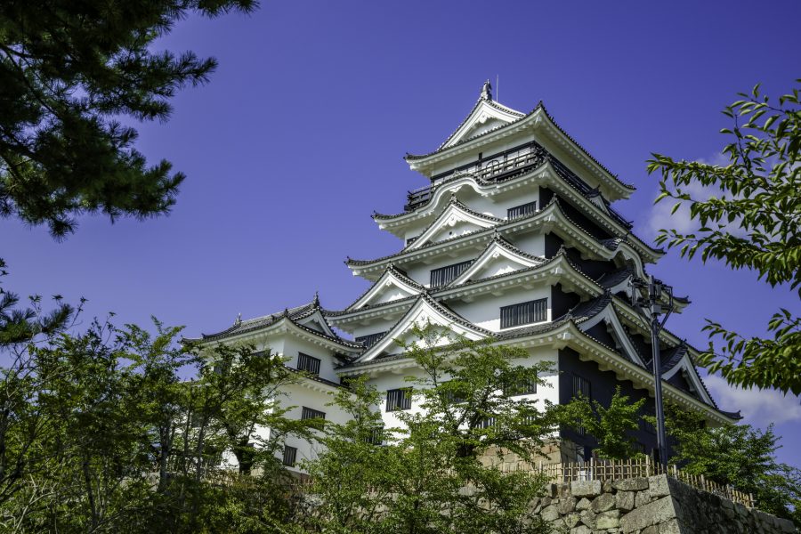 Fukuyama Castle tower surrounded by trees.