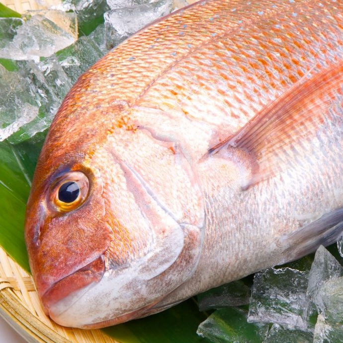 Fresh tai (sea bream) fish on ice in a basket.