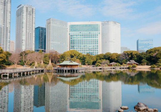 View of Hamarikyu Gardens featuring a traditional teahouse on a pond with modern skyscrapers in the background.