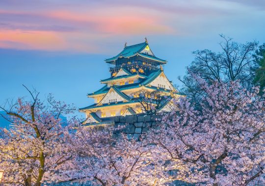 Osaka Castle main keep surrounded by cherry blossoms at twilight.